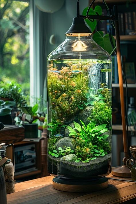 House Plant Aquarium, Desk Aquarium, Office Aquarium, Plant Aquarium, Wardian Case, Fish Tank Themes, Plants Aquarium, Aquarium Garden, Fish Tank Terrarium