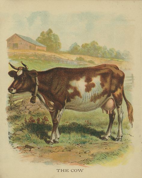 All sizes | Vintage Cow Drawing | Flickr - Photo Sharing! Cow Drawing, Animal Printables, Free Vintage Printables, Printable Animals, Printable Pictures, Cow Painting, Dairy Cows, A Cow, Landscape Drawings