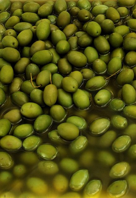 ~HARVEST~ Olives groves are becoming prominent in the wine country of Northern California..stuck in LODI.. Olive Harvest, Fresh Olives, Green Inspiration, Green Olives, Simple Green, Color Psychology, Olive Tree, Fresh Green, Home Recipes