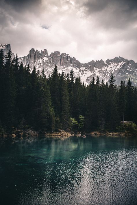 Landscape Pine Trees, Trees, Forest, Lake