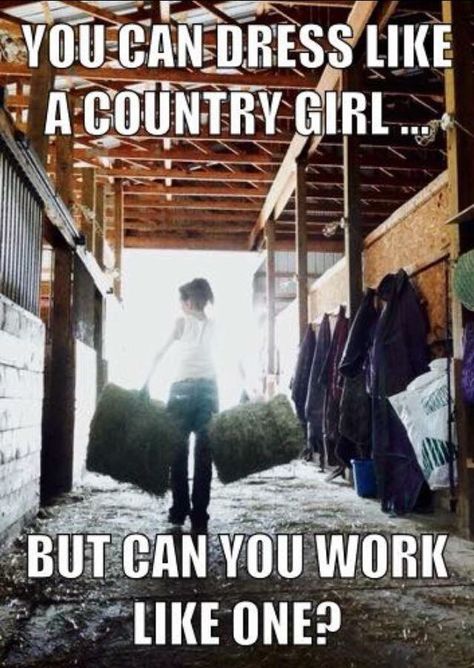 You can dress like a country girl... But can you work like one? #ilovestylemyride #stylemyride @SMRequestrian www.stylemyride.net Cowgirl Quote, Inspirational Horse Quotes, Country Family, Horse Riding Quotes, Equestrian Quotes, Country Girl Life, Cowgirl Quotes, Riding Quotes, Country Couples