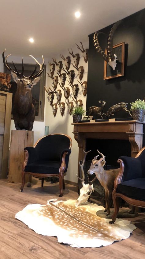 Trophy Wall Hunting, Vintage Hunting Lodge Decor, Hunters Home Decor, Deer Trophy Room, Trophy Rooms Hunting Ideas, Taxidermy Home Decor, Hunting Interior Design, Modern Hunting Decor, Deer Hide Projects