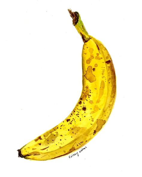 Art meets fruit in our exciting guide to banana illustration! Explore various artistic approaches and get ready to create your own banana-rama masterpiece. Banana Watercolor, Banana Illustration, Banana Graphic, Banana Painting, Banana Party, Arty Ideas, Fun Watercolor, Banana Bars, Water Paint