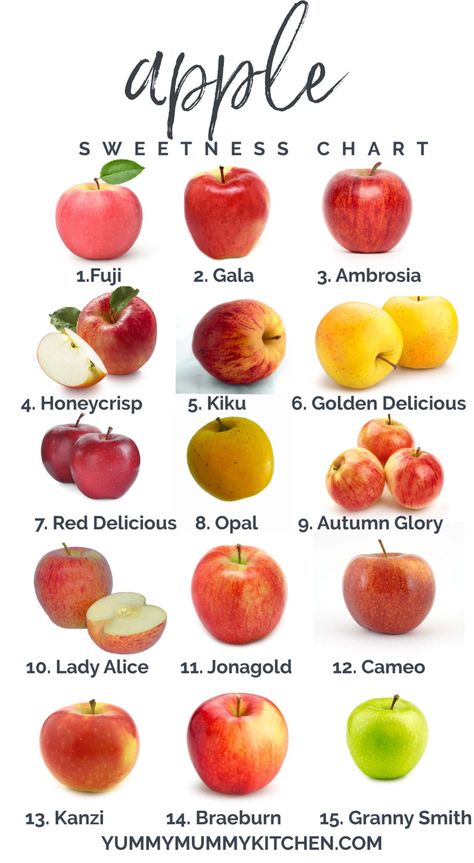 Apple Sweetness Chart - Top Types of Apples and How to Use Apple Chart, Types Of Apples, Types Of Pie, Fresh Fruit Smoothies, Red Delicious Apples, Apple Types, Apple Varieties, Homemade Applesauce, Fruit Dishes