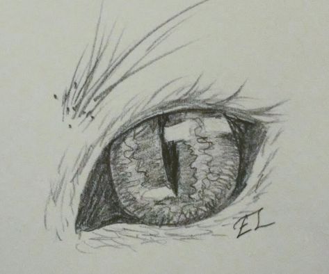 Cat Eye, pencil sketch, By E Raine Cats Eye Drawing, Cat Eye Drawing Reference, Cat Eye Sketch, Cat Eye Drawing, Eye Pencil Sketch, Cat Eyes Drawing, Dangerous Cat, Beautiful Pencil Drawings, Eye Anatomy