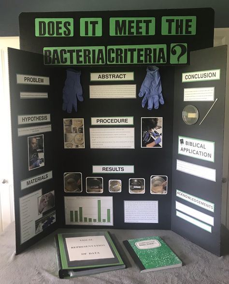 Which house hold object has the most bacteria Bacteria Science Fair Project Board, Microbiology Project Ideas, Science Fair Aesthetic, Science Fair Ideas Highschool, Science Fair Project Board, Project Board Ideas, Math Exhibition, Science Fair Poster, Science Project Board