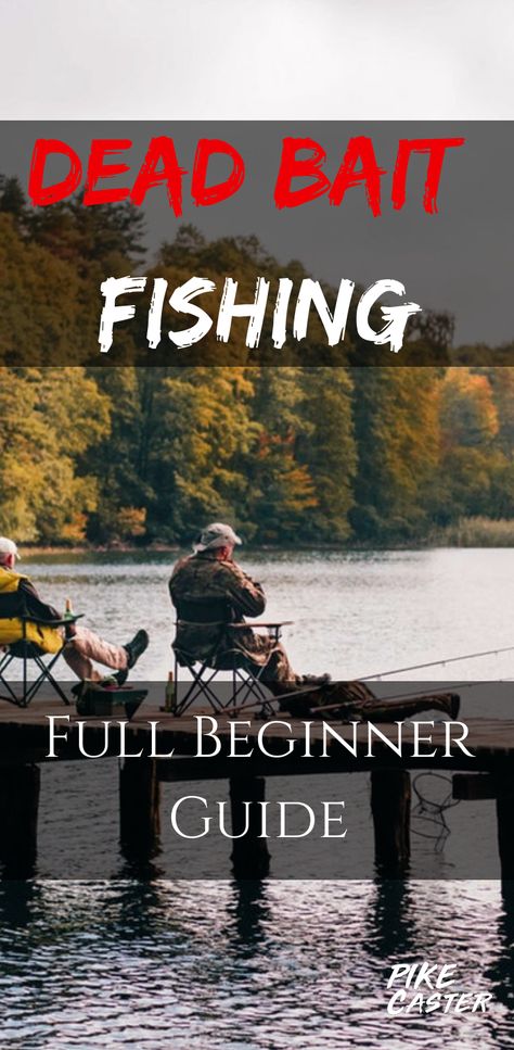 beginner guide Pike Fishing Tips, Alaska Salmon Fishing, Kayak Fishing Tips, Fishing Basics, Trout Fishing Tips, Alaska Fishing, Fishing For Beginners, Fishing Pictures, Pike Fishing