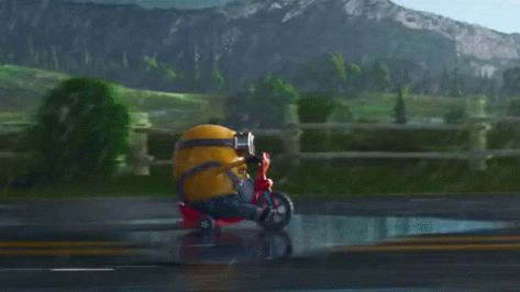 Minion Otto, Minion Banner, Minion Run, Whatsapp Gif, Minion Bike, Bike Cartoon, Cars Gif, Car Gif, Minion Gif