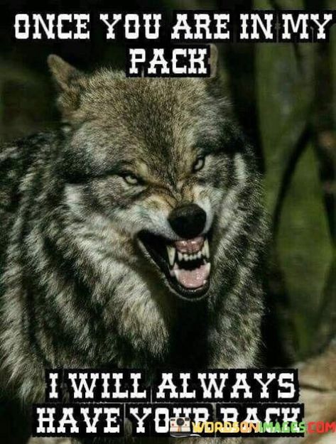 Friends Thoughts, Wolf Pack Quotes, Lone Wolf Quotes, American Quotes, Quotes Family, Native American Quotes, Wolf Quotes, Wolf Spirit Animal, Country Boy