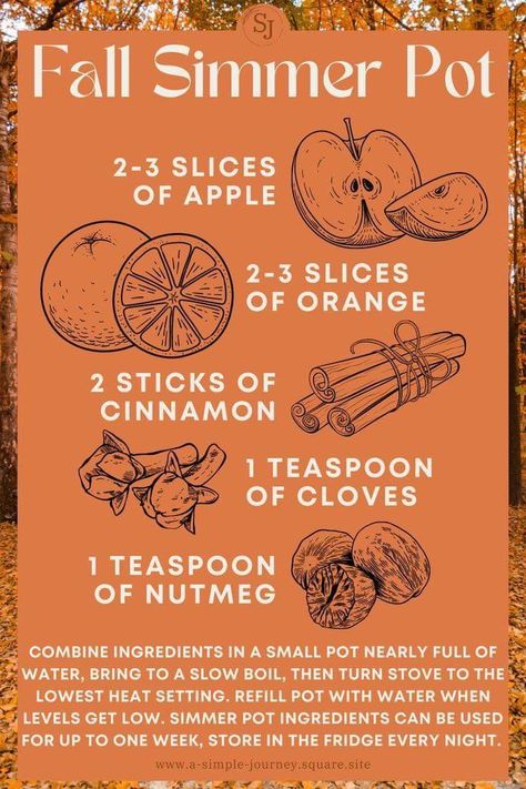 Fall Simmer Pot, Homemade Potpourri, Simmer Pot Recipes, Stove Top Potpourri, Potpourri Recipes, Simmer Pot, House Smell Good, Essential Oil Diffuser Blends, House Smell