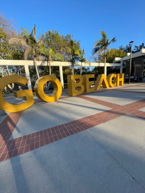 Long Beach University California, Cal State Northridge, Cal State Long Beach Aesthetic, Csulb Aesthetic, Csulb Campus, Csu Long Beach, Cal State La, Varsity Aesthetic, Vision Manifestation