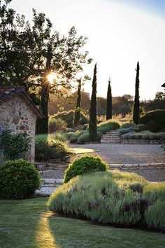 Mediterranean Garden Design, Tuscan Garden, Mediterranean Landscaping, Aesthetic Garden, Umbria Italy, Dry Garden, Gorgeous Houses, Sun Setting, Garden Aesthetic