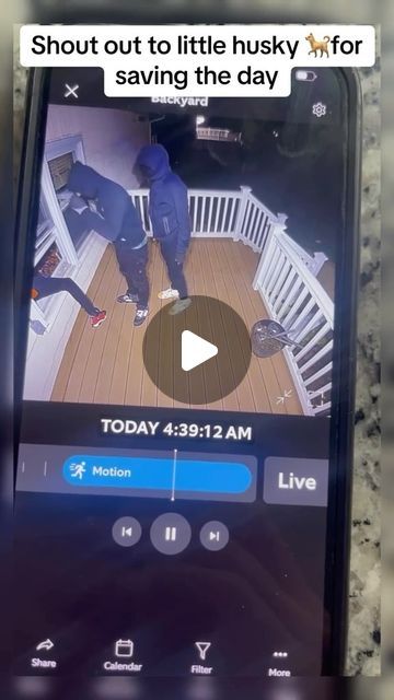 The Mounting Masters | Low Voltage Solutions | Arizona on Instagram: "📹 Watch this intense moment caught on a porch security camera! 🚨 Three men attempt to break into a house, with two intruders sneaking through an open window. But their plan is quickly foiled as a brave husky inside the house chases them off. 🐕‍🦺 You can see them running out of the house in a panic. This is a reminder of the importance of home security. Protect your home with our top-notch alarm and security camera installations.

The Mounting Masters
(602)376-3776
Licensed - Bonded - Insured 
Arizona

#HomeSecurity #BreakIn #CaughtOnCamera #SecurityCameras #StaySafe #ProtectYourHome" Home Security Ideas, An Open Window, Security Camera Installation, Alarm Systems For Home, Home Security Tips, Home Alarm, Security Cameras, Security Alarm, Security Cameras For Home