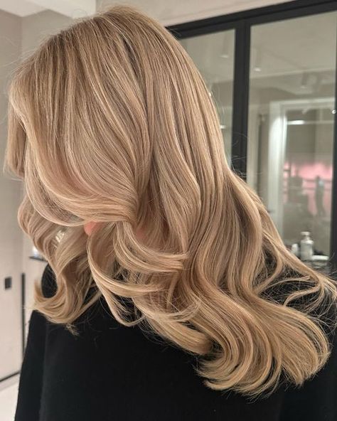 Beige Toned Blonde Hair, Hair Toner Colors, Light Warm Blonde Hair, Almond Blonde Hair, Warm Blonde Hair Color Honey, Blonde Hair Dark Eyebrows, Sandy Blonde Hair, Warm Blonde Hair, Beige Blonde Hair