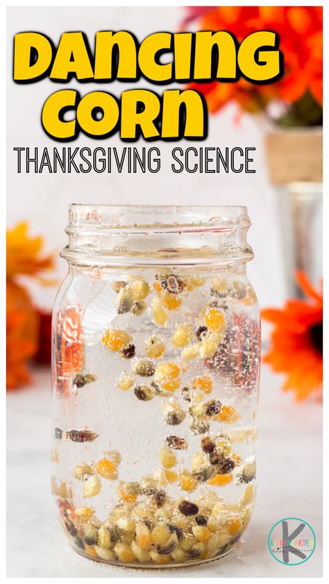 Looking for a fun thanksgiving science idea? This dancing corn is a perfect fall science activity with a harvest theme. In this simple baking soda and vinegar experiment children will get to observe a fun reaction that will cause the corn to appear to dance. Try this thanskgiving science experiments with toddler, preschool, pre-k, kindergarten, and first graders too. Turkey Science, Dancing Corn, Thanksgiving Science, Pumpkin Math Activities, November Lesson Plans, New Christmas Crafts, Harvest Activities, November Preschool, Thanksgiving Math Activities