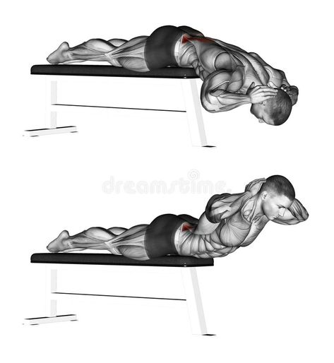 Exercising. Hyperextensions With No Hyperextension Bench. Hyperextensions With No Hyperextension Bench. Exercising for bodybuilding Target muscles are marked in stock illustration Hyperextension Exercise, Steps Illustration, Bench Drawing, Back Workout At Home, Workout Pics, Bench Workout, Gym Workout Plan For Women, Incline Bench, Getting Back In Shape