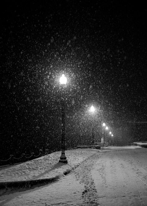 This pic was taken on a snowy, lamp-lit night in December in a sleepy little river town.  As the snow fell, streets cleared.  All but the lights of lamps.  Beautiful. This listing is for a 5X7 print on premium quality, archival paper with a matte finish. Can also be mounted to wood, canvas, metal print or made in to greeting cards! Will be signed by me and shipped in a sturdy photo mailer to ensure it's safe arrival to you. You can also order other sizes!  {Please contact me for more info!} Silent Night Aesthetic, Snowy Street Night, Snow Night City, Snow In Night, Winter Core Aesthetic, Snowy Night Aesthetic, Winter Aesthetic Night, Snowing At Night, Snow In The Dark