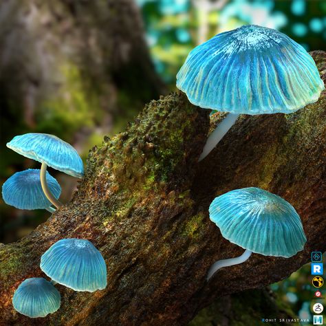 Mushrooms Pretty, Mushroom Beautiful, Pretty Mushrooms, Colourful Mushrooms, Blue Mushrooms, Blue Mushroom, Mushroom Images, Mushroom Plant, Mushroom Pictures