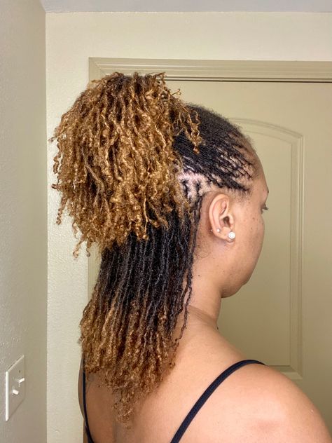 Honey Blond Micro Locs, Sister Locs With Color, Sister Locs Fine Hair, Microloc Twist Extensions, Honey Blonde Micro Locs, Micro Locs With Color, Mirco Locs Extensions, Colored Microlocs Black Women, Microlocs Curly Ends