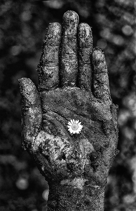 Week 7 | Hope | Self Portrait by artist Sarah Treanor ... year long self portrait project at 12monthscreativity.wordpress.com Black, White Photo, A Flower, A Black, Black And White, White