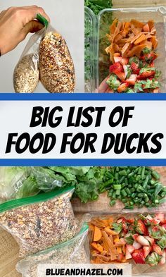 What To Feed Ducks At The Park, Homemade Chicken And Duck Feed, Duck Hacks Diy, Pet Duck Enclosure, Duck Treats Ideas, What Can Ducks Eat, Duck Food Feeder, What Do Ducks Eat, Diy Duck Food