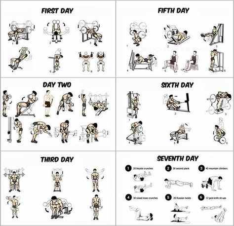 1- This Insanity Workout Calendar takes 6 days and each day is dedicated for one group of muscles. They are divided as the following:chest musclesThe first dayhands musclesDay Twoshoulder musclesThird dayfor little Ab Fitness, 7 Day Workout Plan, Strenght Training, Workout Morning, 7 Day Workout, Gym Program, Fitness Studio Training, Workout Fat Burning, Workout Program Gym