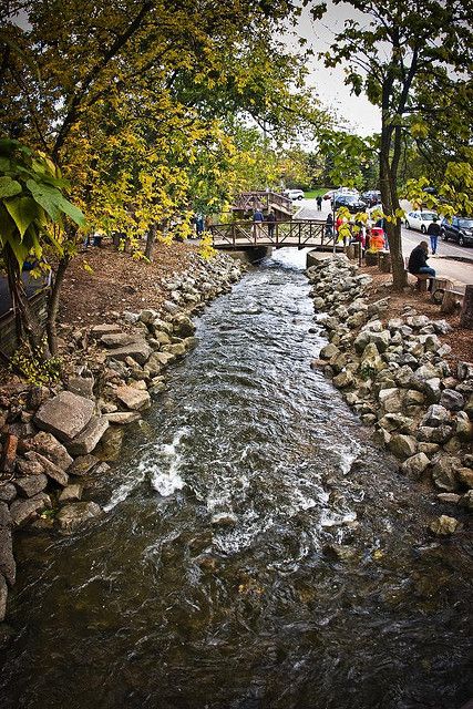 Creek behind Franklin Cider Mill Rochester Michigan, Coney Dog, Cider Mill, Michigan City, Olden Days, Changing Leaves, Mill Creek, Increase Metabolism, State Of Michigan