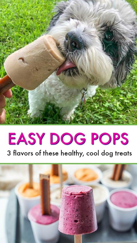 Easy Dog Pops - just a few ingredients to make these dog popsicles to keep them cool this summer! #dogs #puppy #treats #dogtreats #popsicles #dogpops Dog Popsicles, Popsicles Recipes, Dogs Treats, Animal Treats, Pet Treats Recipes, Doggy Treats, Easy Dog Treat Recipes, Frozen Dog Treats, Dog Biscuit Recipes