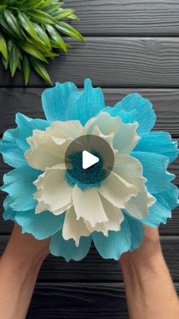 How To Make Flowers Out Of Crepe Paper Streamers, Making Crepe Paper Flowers, Easy Crepe Paper Flowers Diy, Crepe Flowers Diy, Crape Paper Flowers, Flowers Out Of Tissue Paper, Flowers With Crepe Paper, Crepe Paper Craft, Flowers Crepe Paper