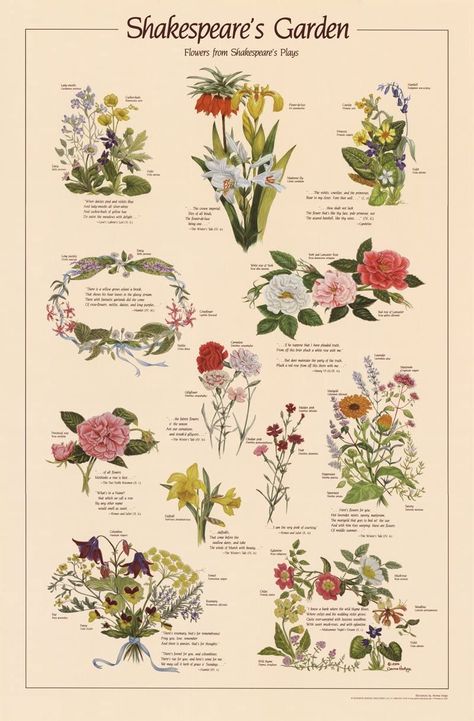 Amazon.com: Shakespeare's Garden Poster - Flowers in Shakespeare's plays: Posters & Prints The Language Of Flowers, Different Types Of Flowers, Muslin Bags, Bag Inside, Language Of Flowers, Puzzle Box, 1000 Piece Jigsaw Puzzles, Tea Accessories, Types Of Flowers