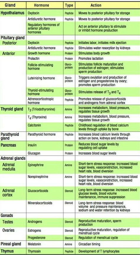 Hormones. | Medical school essentials, Medical school studying, Pharmacology nursing Hormone Study Notes, Hormones Vs Neurotransmitters, Endocrine Hormones Cheat Sheet, Endocrine Glands And Hormones, Hormones And Their Functions, Adrenal Gland Hormones, Endocrine System Hormones, Endocrine System Nursing, Medical Terminology Study