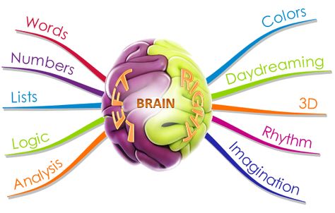 Multiple Intelligence, خريطة ذهنية, Intelligence Test, Brain Logo, Brain Gym, Speed Reading, Brain Exercise, Flipped Classroom, Right Brain