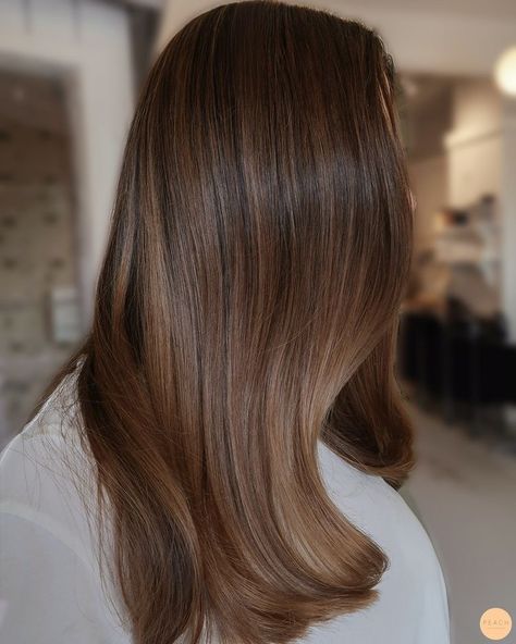 Rich Brown Dimensional Hair, Neutral Auburn Hair, Neutral Skin Tone Hair Color, Med Brown Hair, Balayage Straight Hair, Beige Hair, Brown Hair Looks, Brown Hair Inspo, Brunette Hair With Highlights