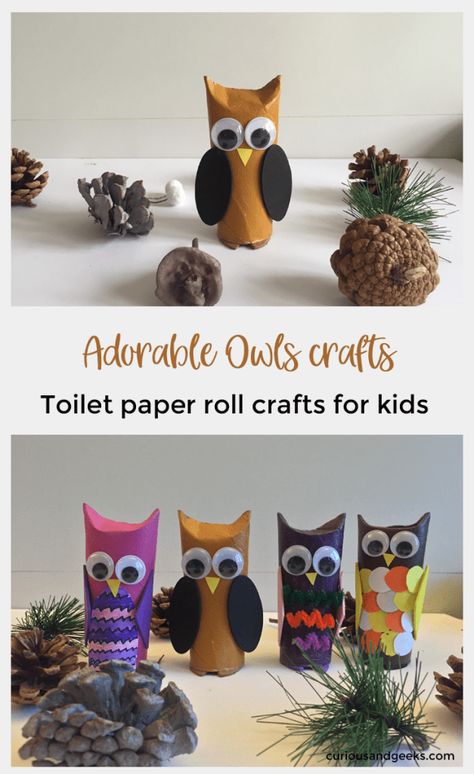 Here is an easy toilet paper roll owl craft to make with your kids. Our tutorial includes 4 different owls toilet paper roll crafts for kids. #birds #owlcrafts Owl Craft, Kids Toilet, Toilet Roll Craft, Toilet Paper Crafts, Owl Crafts, Toilet Paper Roll Crafts, Paper Roll Crafts, Bird Crafts, Fall Crafts For Kids