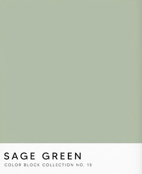 Color For Home, Sage Green Aesthetic, Sage Green Paint, Green Color Block, Home Outside, Sage Green Color, Paint Swatches, Sage Color, Bedroom Green