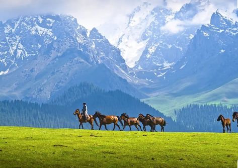 Camel Painting, China Vacation, Xinjiang China, China Travel Guide, The Silk Road, Silk Road, China Travel, Asia Travel, Plan Your Trip