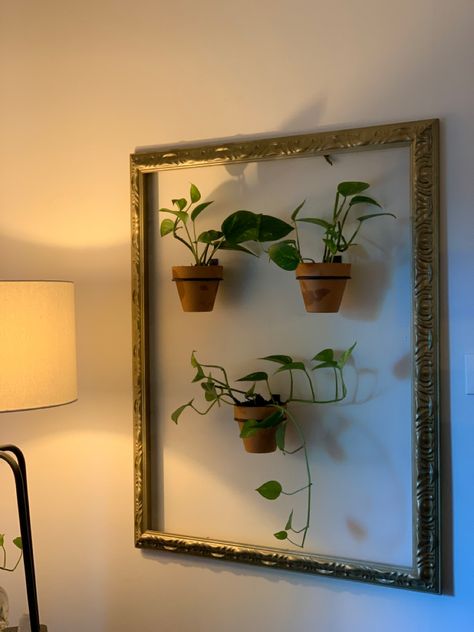 DIY FLOATING MINI PLANTER FRAME Frame With Plants Inside, Framed Flower Vase, Picture Frame Without Glass Ideas, Framed Plants On Wall, Plants In Frames, Plant In Frame, Plant Frame Wall Decor, Empty Frames On Wall Decor Ideas, Living Wall Diy