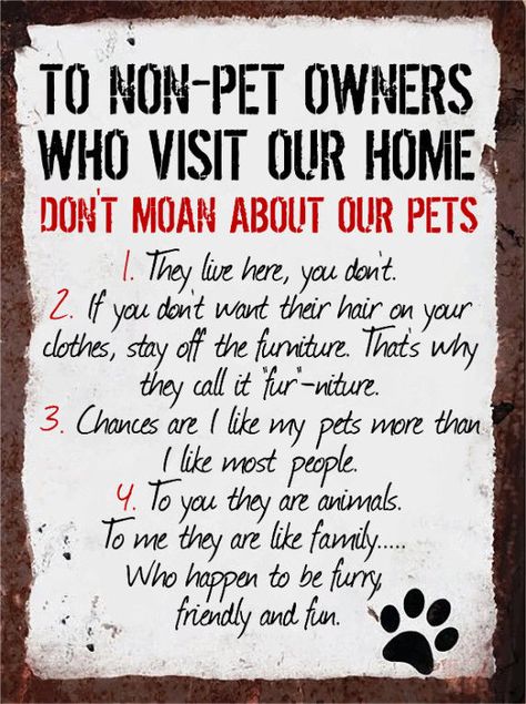 Vintage Style Metal Sign Wall Plaque Non Pet Owner Rules 15X20Cm Retro Tin Signs, Dog Rules, Dog Signs, Pet Stuff, Dog Quotes, Wall Plaque, Dog Care, Sign Wall, Dog Stuff