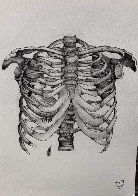 #ribcage #cardinal  #bird #thewonderyears #pyramidsofsalt #drawing #blackandwhite #tattoo #art Rib Cage Line Art, Ribcage Drawing, Bone Drawing, Skeletal Structure, Medical Drawings, Skeleton Drawings, Gcse Art Sketchbook, Arte Van Gogh, Resin Art Painting