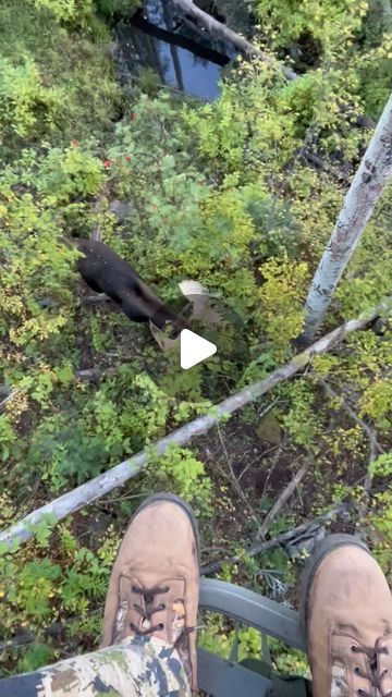 Rockymountainracks on Instagram: "Super cool tree stand experience from last hunting season, I’m trying too locate his sheds, tips would be awesome! #moose #treestand #hunting #therut" Deer Hunting Humor Hilarious, Deer Stand Ideas, Tree Stands Hunting Deer, Tower Deer Stands, Deer Hunting Humor, Tree Stand Hunting, Hunting Stands, Hunting Videos, Moose Hunting