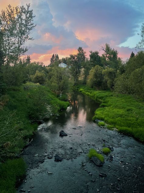 Nature, Pnw Hiking Aesthetic, Washington House Aesthetic, Madelyn Core, Idaho Aesthetic, Washington State Aesthetic, Creek Aesthetic, Nature Homes, Pnw Aesthetic