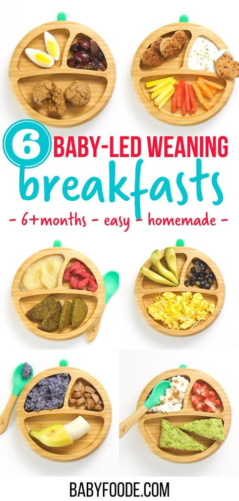 Blw Breakfast Ideas 7 Months, 11 Month Old Breakfast Ideas, Infant Breakfast Ideas, Breakfast For Babies, Brekky Ideas, Blw Breakfast Ideas, Led Weaning Breakfast, Led Weaning First Foods, Breakfast Snap