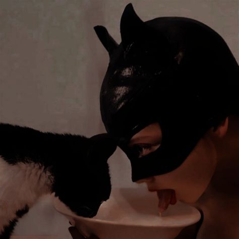 Cat Women, Batman And Catwoman, Cat Woman, Selina Kyle, Harley Quinn Art, Cat Mask, Photoshoot Concept, Dark Feminine, Catwoman