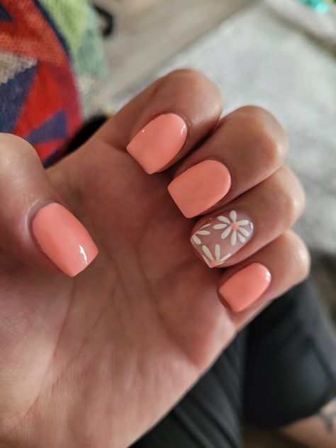 Pink Nail With Accent, Summer Acrylic Nails Light Pink, Cute Short Acrylic Nails Light Pink, Pink Nails With White Daisy, Mom Nails Short Summer, Pink Nail Designs For Short Nails, Short Nail Daisy Design, Easy Nail Designs For Short Nails Pink, Flower Accent Nail Simple