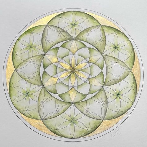 Seed Of Life Pattern, Sacred Geometry Watercolor, Seed Of Life Art, Torus Mandala, Seed Of Life Mandala, Flower Of Life Art, Circle Art Design, Sacred Geometry Art Mandalas, The Seed Of Life