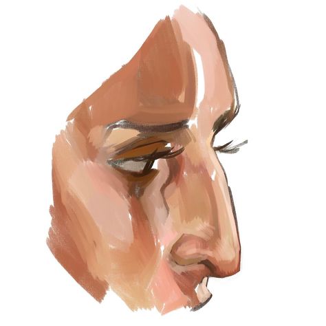 nose #art Arched Nose Reference, Drawing Different Noses, Hooked Noses Reference, Arched Nose Front View, Nose Structure Drawing, Nose Angles Drawings, Drawing Hooked Nose, How To Draw Hooked Nose, Flat Nose Drawing