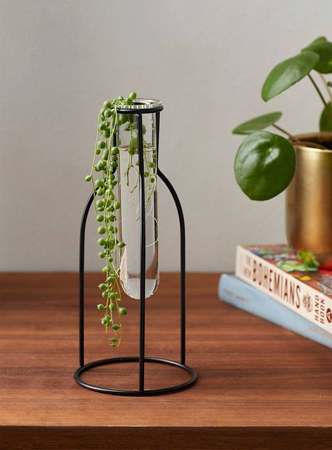 This vial stand for your partner who has a green thumb. It'll replace their makeshift propagation station and display their latest cuttings in style. Plant Organization, Shelf House, Plant Propagation, Plant Shelf, Plants Decor, Small Bedroom Decor, Glass Vials, Decorative Planters, Room With Plants