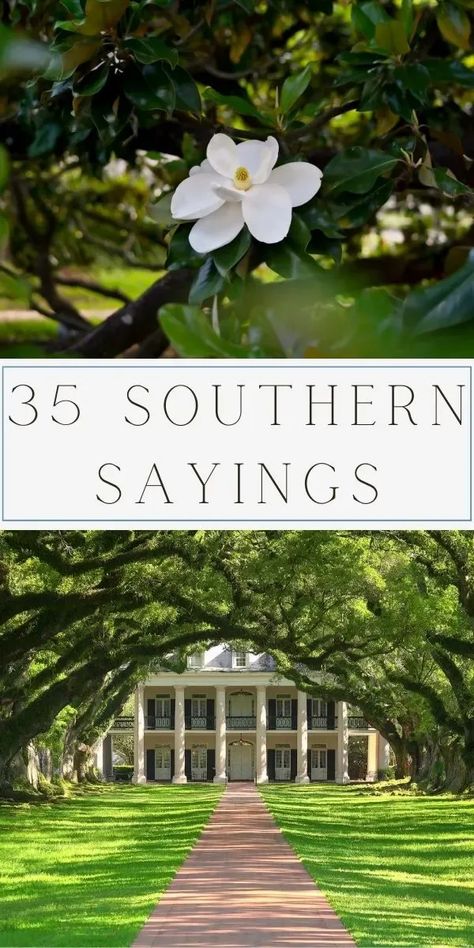 Explore 35 of the best Southern sayings, from timeless phrases to drawlin' proverbs. Savor sweet tea wisdom and Dixie expressions capturing Southern charm. Dive into the rich tapestry of Southern dialect gems, embracing the warmth of folk sayings. Let these quotes add hospitality and grace to your day. Immerse yourself in the soulful world of Southern slang and charm words. Whether a true Southerner or captivated by Dixie language, these expressions bring a smile. Southern Phrases. Things Only Southern People Say, Southern Love Quotes, Southern Hospitality Quotes, Old Southern Sayings, Southern Words And Phrases, Southern Sayings Quotes, Southern Sweet Tea Aesthetic, Southern Sayings Deep South, Southern Slang Sayings