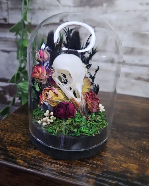 I'm back with a dark beauty 🖤 I've been sticking to this theme recently as so many people seem to like the darker style domes. Blackbird skull curio dome, with hand dried roses and chunks of obsidian. Dome is available now on my website and etsy 🖤 #skulls#domes#gothic#vultureculture#vulture#darkaesthetic#darkacademiaaesthetic#halloween#gothichomedecor#redroses#skull#taxidermy#curio#odities#odditydecor#curiocabinet#cabinetofcuriosities#curiosityapproach#darkaesthetics#gothic#goth#ethicall... High Cloche Dome Ideas, Cloche Dome Ideas, Diy Cloche, Skull Taxidermy, Cloche Domes, Dried Roses, Drying Roses, So Many People, Dark Beauty