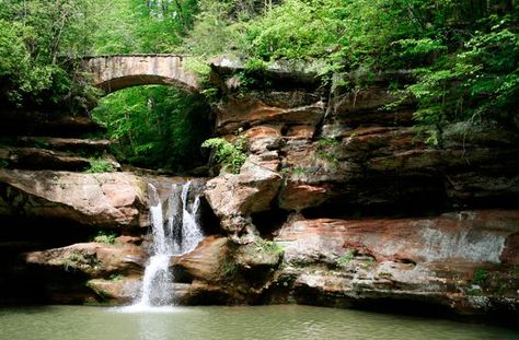 Hocking Hills State Park--Ohio, 2,300 acres, has hiking, biking, archery, fishing, hunting, and camping. The park is most notable for its waterfalls and dramatic rock formations, including Old Man's Cave, Cantwell Cliffs, Ash Cave, and Cedar Falls Ohio Hiking, Hocking Hills State Park, Hocking Hills, Fishing Tips, Hunting Fishing, Vacation Destinations, Archery, Vacation Spots, State Park